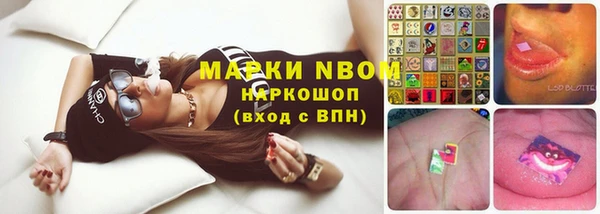 ПСИЛОЦИБИНОВЫЕ ГРИБЫ Аркадак