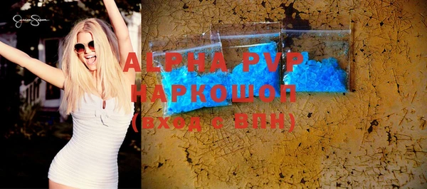 гидра Няндома