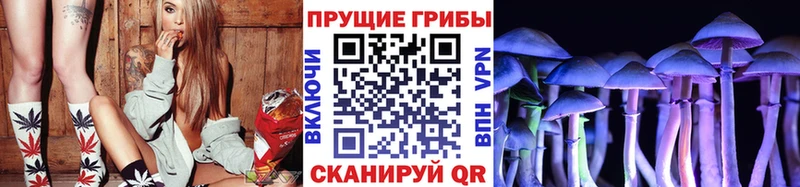 Псилоцибиновые грибы прущие грибы  Пугачёв 